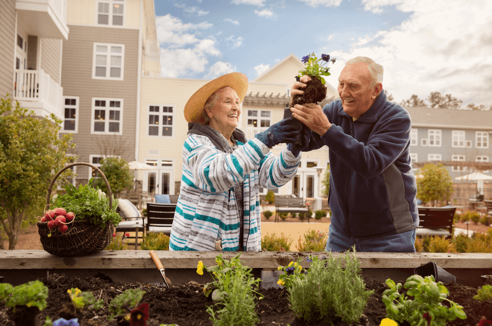 Senior Living Blog The Arbor Company Activities for Seniors